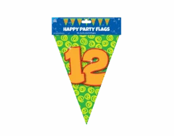 Vlaggenlijn 12 Jaar Gekleurd 10m -Feestartikelen Winkel vlaggenlijn 12 jaar gekleurd 10m 2