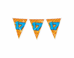 Vlaggenlijn 17 Jaar Gekleurd 10m