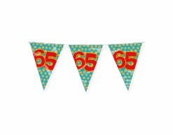 Vlaggenlijn 65 Jaar Gekleurd 10m