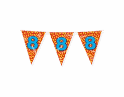 Vlaggenlijn 8 Jaar Gekleurd 10m