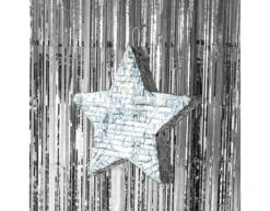 Zilveren Deurgordijn Metallic 2m -Feestartikelen Winkel zilveren deurgordijn metallic 2m 2