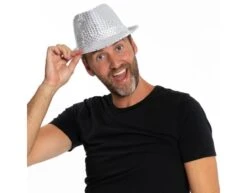 Zilveren Glitter Hoed Lampjes -Feestartikelen Winkel zilveren glitter hoed lampjes 1