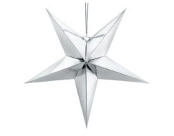 Zilveren Lampion Ster 70cm