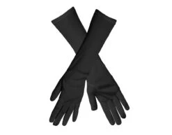 Zwarte Handschoenen Lang