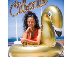 Zwemband Zwaan Goud 95cm -Feestartikelen Winkel zwemband zwaan goud 95cm 1