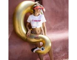 Zwemband Zwaan Goud 95cm -Feestartikelen Winkel zwemband zwaan goud 95cm 5